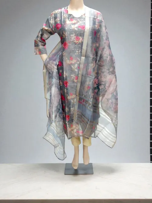 Silk tissue salwar-A01858
